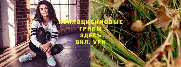 амфетамин Алексеевка